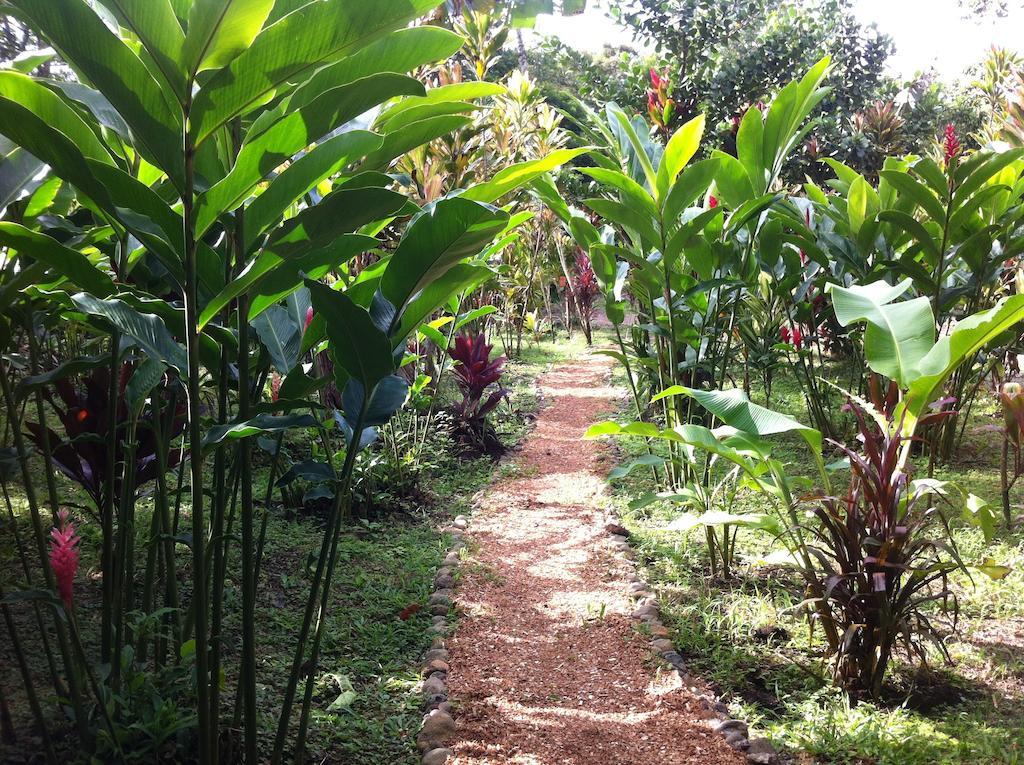 Finca Verde Lodge Bijagua de Upala Exterior foto