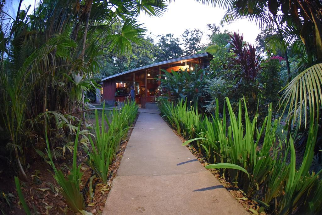 Finca Verde Lodge Bijagua de Upala Exterior foto