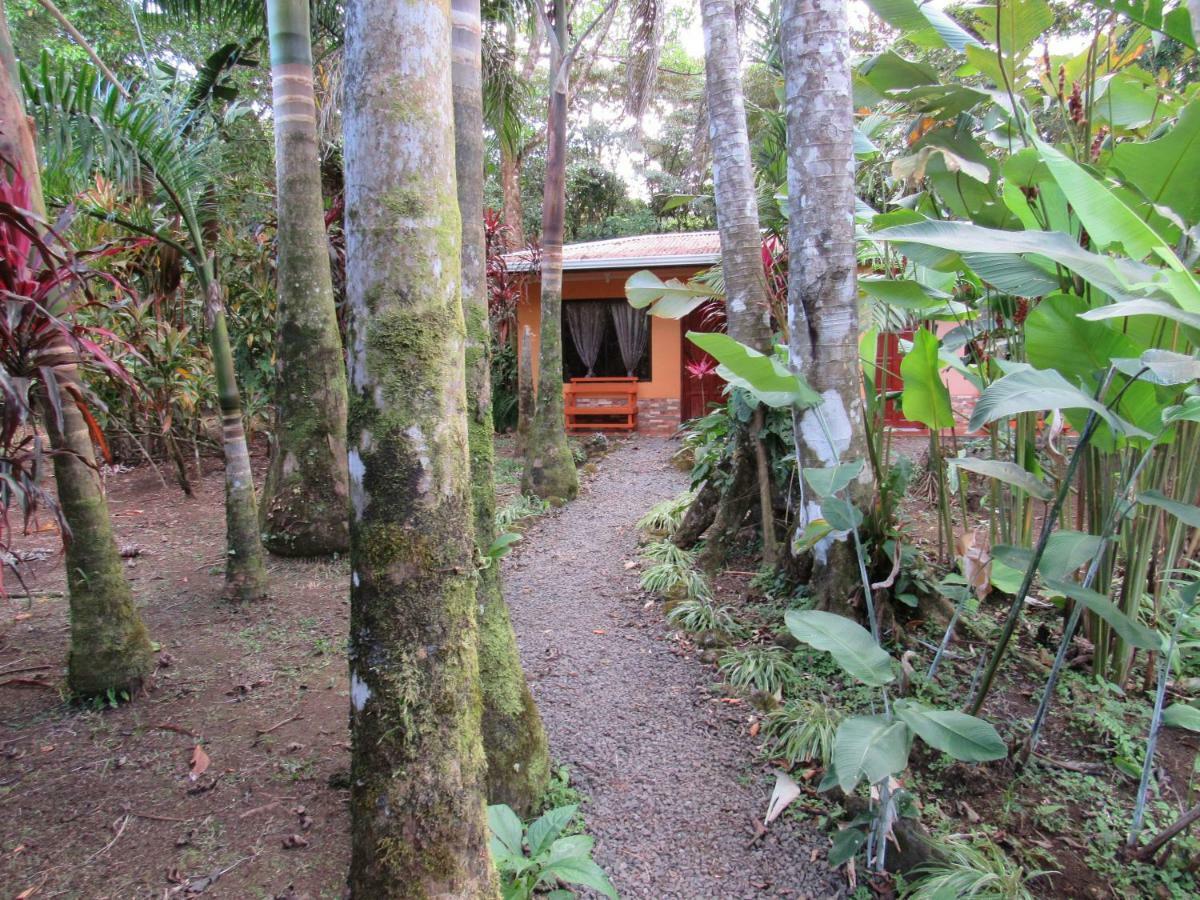 Finca Verde Lodge Bijagua de Upala Exterior foto